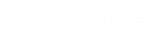 Binance Smart Chain logo